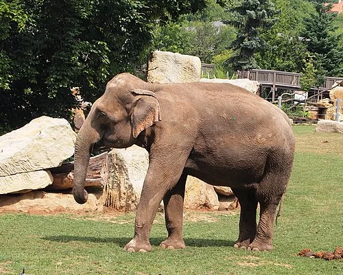 Prague Zoo